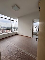 The Trizon (D10), Condominium #473139671